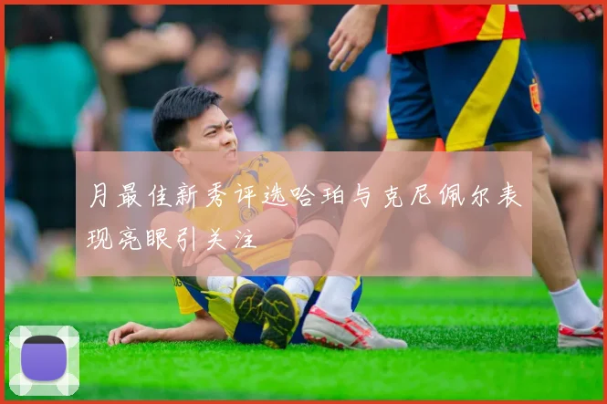 月最佳新秀评选哈珀与克尼佩尔表现亮眼引关注